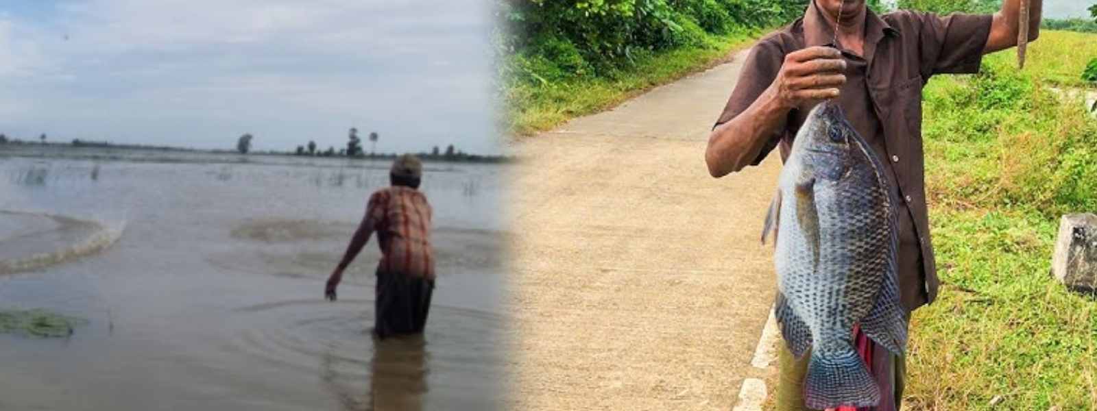 මිරිදිය ධීවර කර්මාන්තයට බලපෑම්...